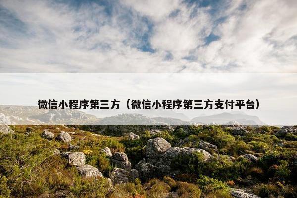 微信小程序第三方（微信小程序第三方支付平台）