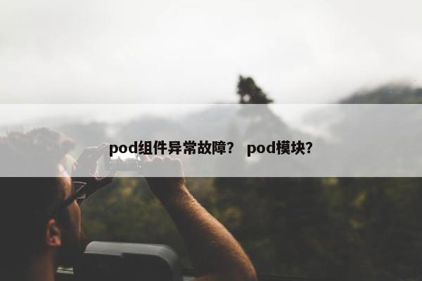 pod组件异常故障？ pod模块？