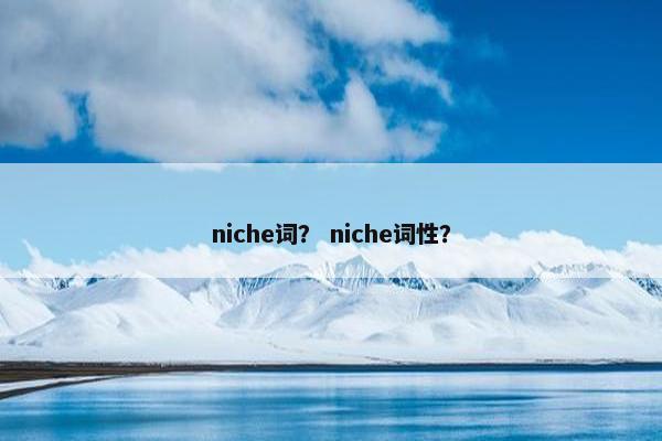 niche词？ niche词性？