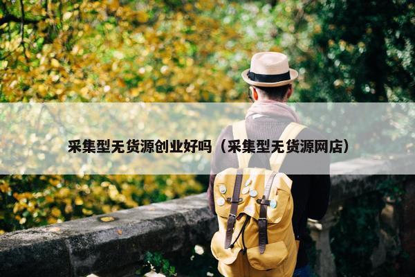 采集型无货源创业好吗（采集型无货源网店）