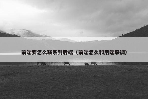 前端要怎么联系到后端（前端怎么和后端联调）