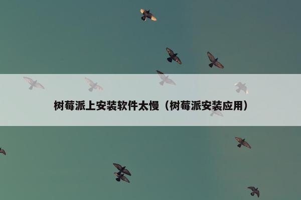 树莓派上安装软件太慢（树莓派安装应用）