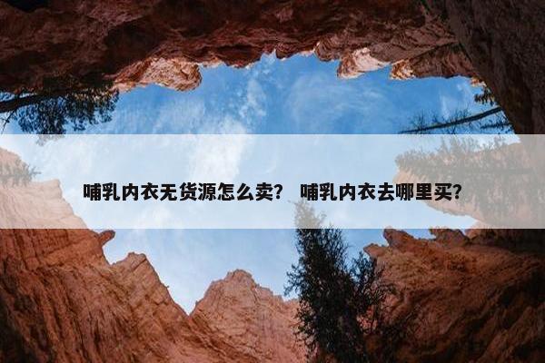 哺乳内衣无货源怎么卖？ 哺乳内衣去哪里买？