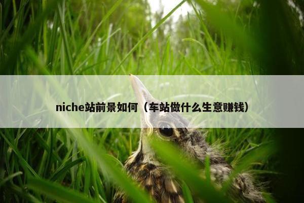 niche站前景如何（车站做什么生意赚钱）