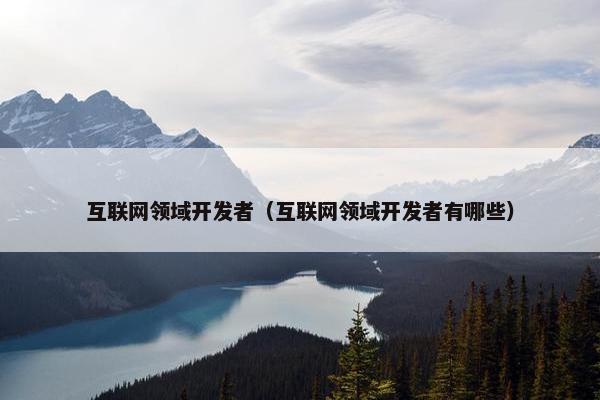 互联网领域开发者（互联网领域开发者有哪些）