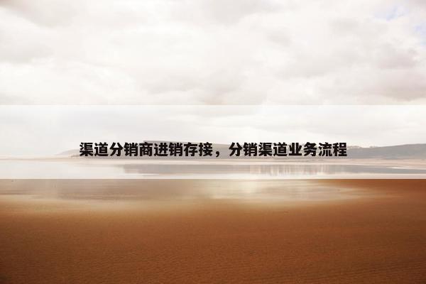 渠道分销商进销存接，分销渠道业务流程