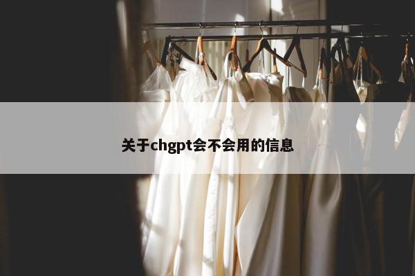 关于chgpt会不会用的信息