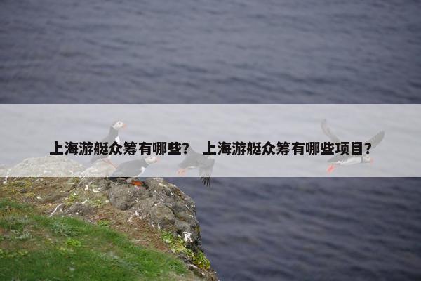 上海游艇众筹有哪些？ 上海游艇众筹有哪些项目？