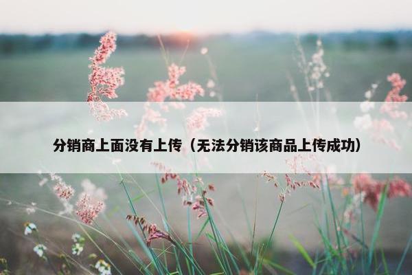 分销商上面没有上传（无法分销该商品上传成功）