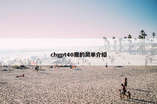 chgpt40原的简单介绍