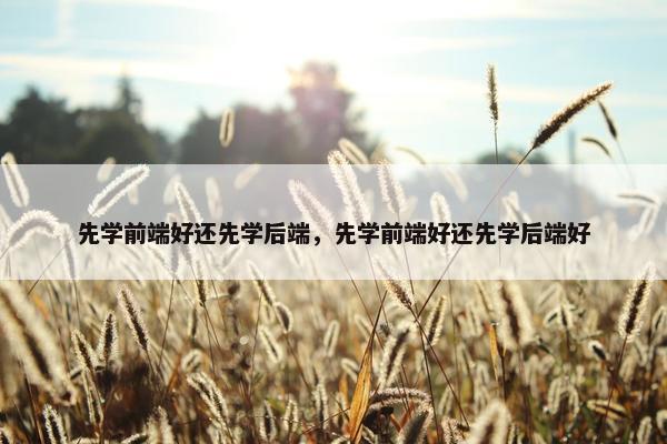先学前端好还先学后端，先学前端好还先学后端好