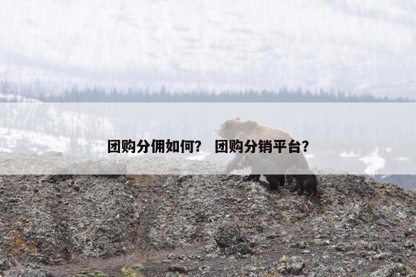 团购分佣如何？ 团购分销平台？