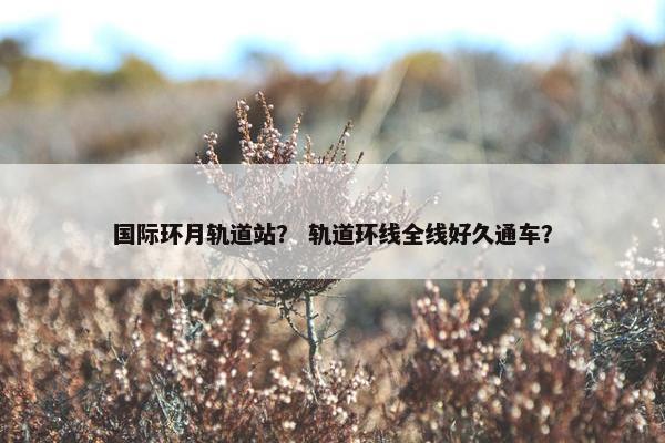 国际环月轨道站？ 轨道环线全线好久通车？