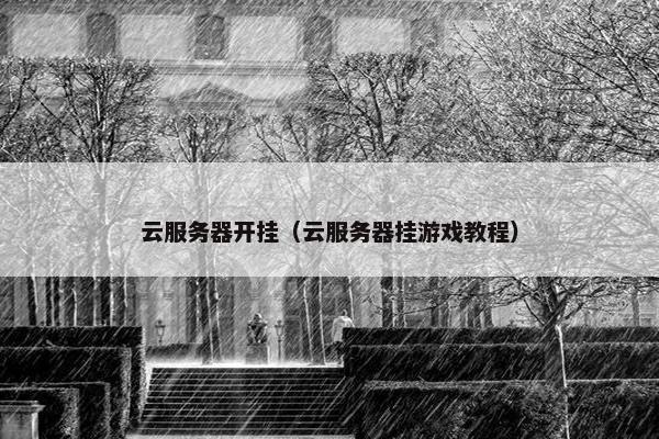 云服务器开挂（云服务器挂游戏教程）