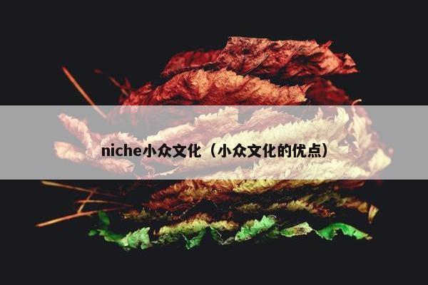 niche小众文化（小众文化的优点）