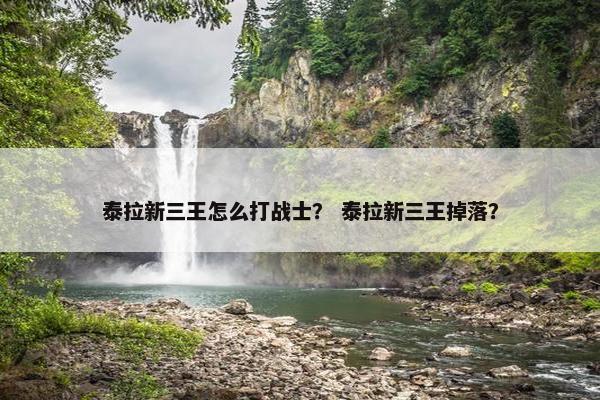 泰拉新三王怎么打战士？ 泰拉新三王掉落？