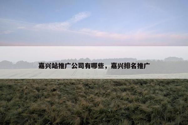 嘉兴站推广公司有哪些，嘉兴排名推广