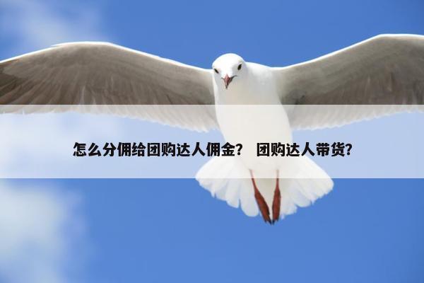 怎么分佣给团购达人佣金？ 团购达人带货？