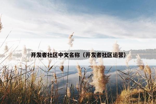 开发者社区中文名称（开发者社区运营）