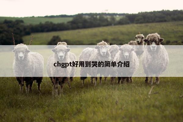 chgpt好用到哭的简单介绍