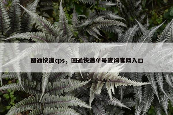 圆通快递cps，圆通快递单号查询官网入口