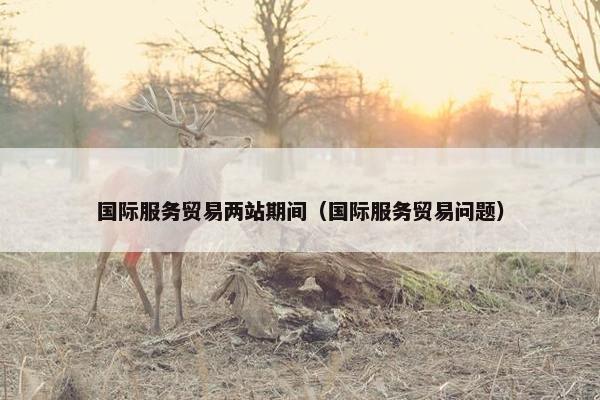 国际服务贸易两站期间（国际服务贸易问题）