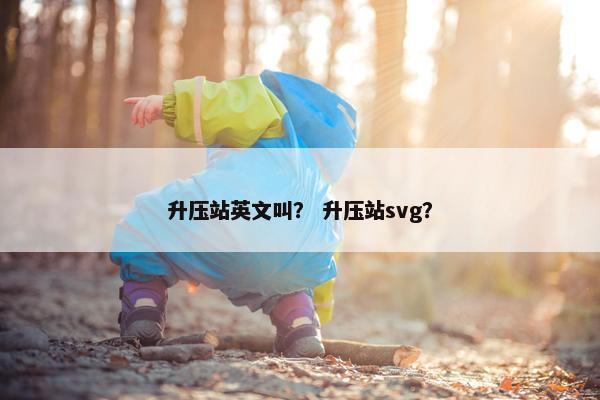 升压站英文叫？ 升压站svg？