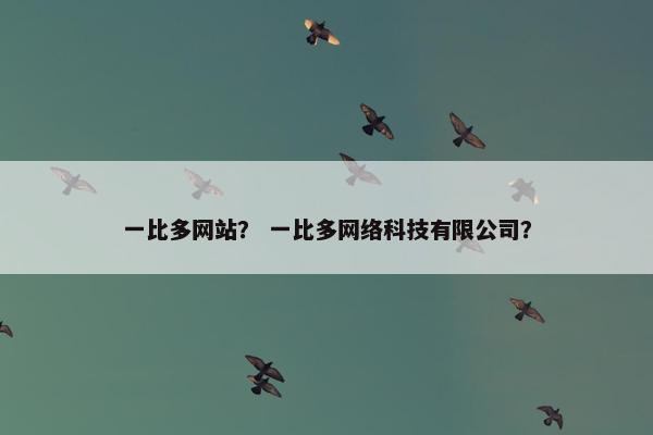 一比多网站？ 一比多网络科技有限公司？