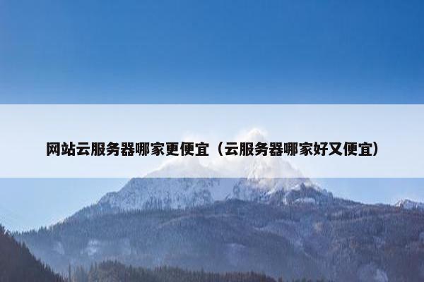 网站云服务器哪家更便宜（云服务器哪家好又便宜）