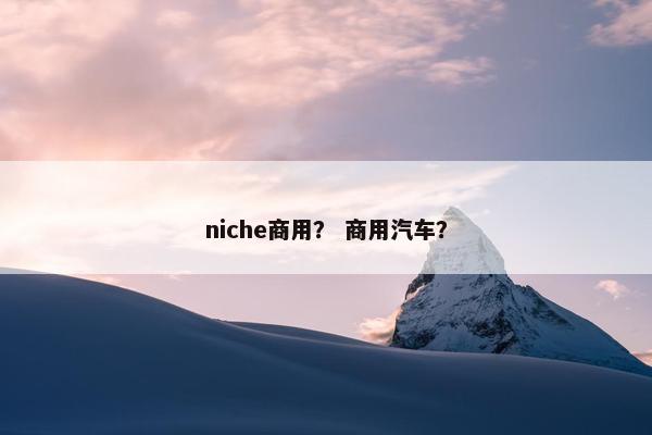 niche商用？ 商用汽车？
