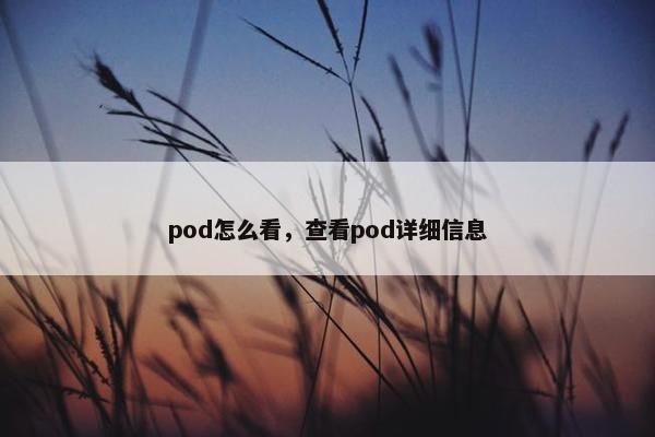 pod怎么看，查看pod详细信息