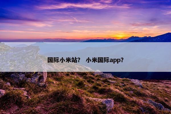国际小米站？ 小米国际app？
