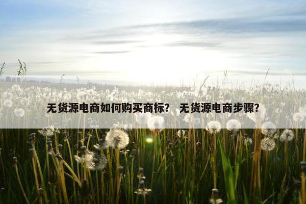 无货源电商如何购买商标？ 无货源电商步骤？