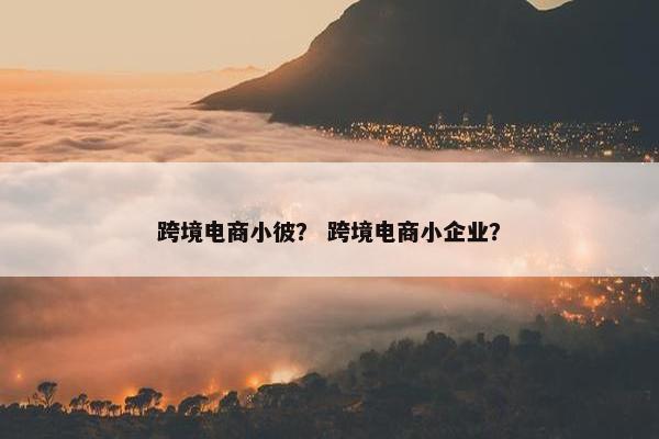 跨境电商小彼？ 跨境电商小企业？