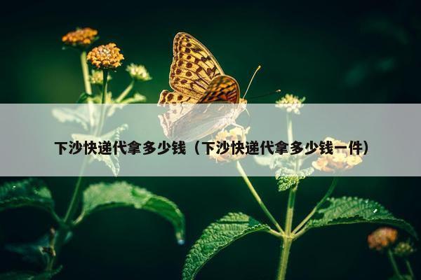 下沙快递代拿多少钱（下沙快递代拿多少钱一件）