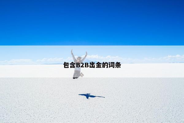 包含B2B出金的词条