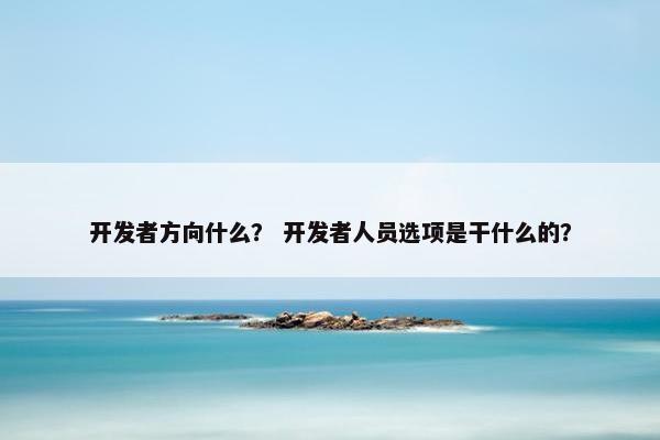开发者方向什么？ 开发者人员选项是干什么的？