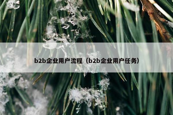 b2b企业用户流程（b2b企业用户任务）