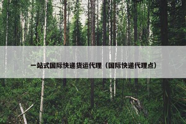 一站式国际快递货运代理（国际快递代理点）