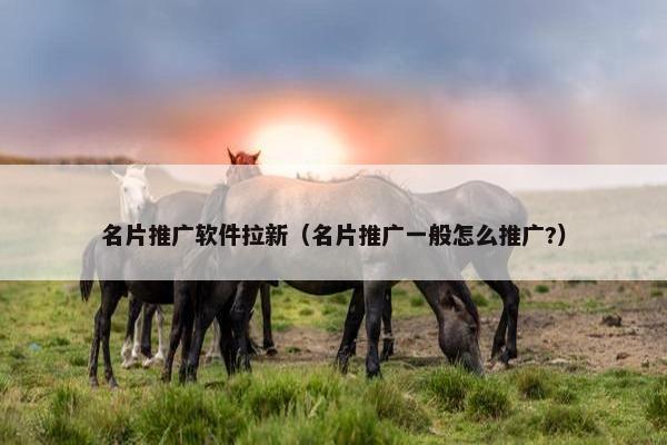 名片推广软件拉新（名片推广一般怎么推广?）