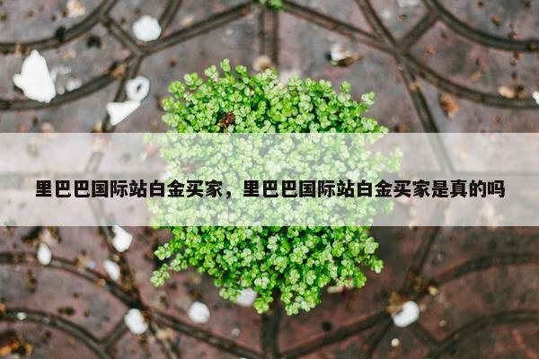 里巴巴国际站白金买家，里巴巴国际站白金买家是真的吗