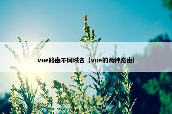 vue路由不同域名（vue的两种路由）