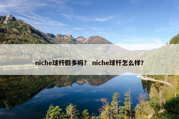 niche球杆假多吗？ niche球杆怎么样？