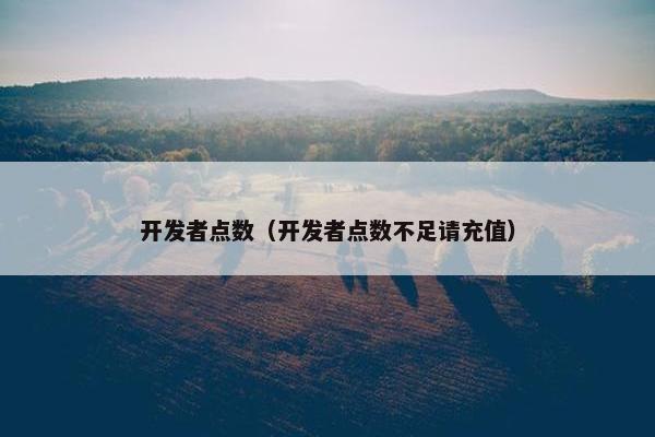 开发者点数（开发者点数不足请充值）