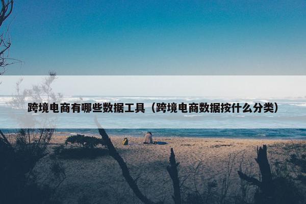 跨境电商有哪些数据工具（跨境电商数据按什么分类）