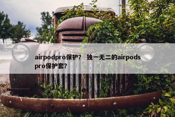 airpodpro保护？ 独一无二的airpodspro保护套？