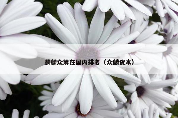 麟麟众筹在国内排名（众麟资本）