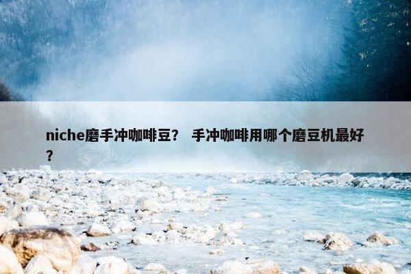 niche磨手冲咖啡豆？ 手冲咖啡用哪个磨豆机最好？