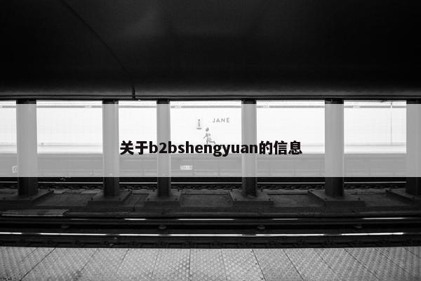 关于b2bshengyuan的信息