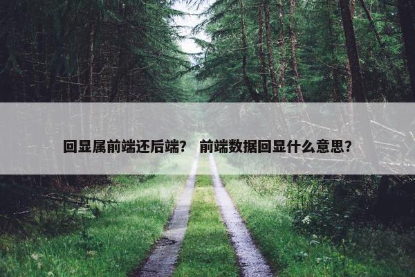 回显属前端还后端？ 前端数据回显什么意思？